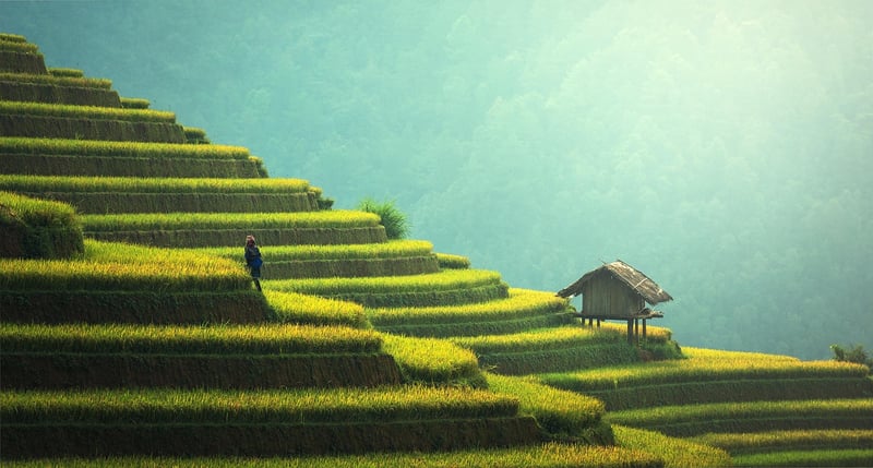 Sustainable Tourism